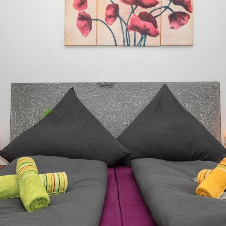 Holiday apartment on a farm with outdoor whirlpool - Appartement 4 Chambres - 18