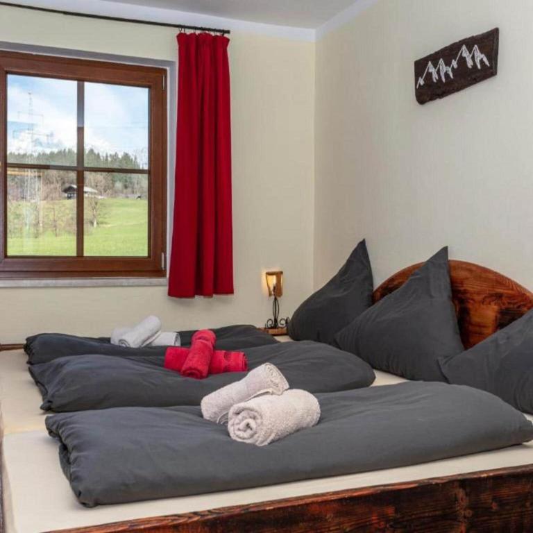Holiday apartment on a farm with outdoor whirlpool - Appartement 4 Chambres - 4