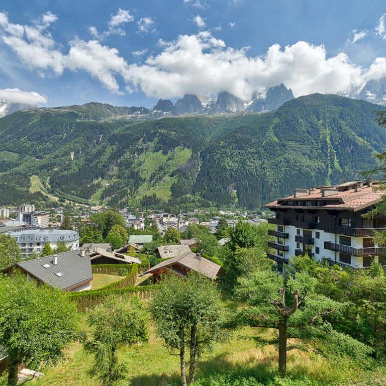 Petite Jardin: Residence Via des Traz B - Apartment mit Gartenblick - 25