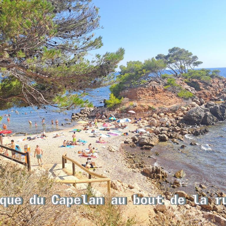 Maison 3 chambres avec piscine à 5 min à pied de la plage - Maison 3 Chambres - 29