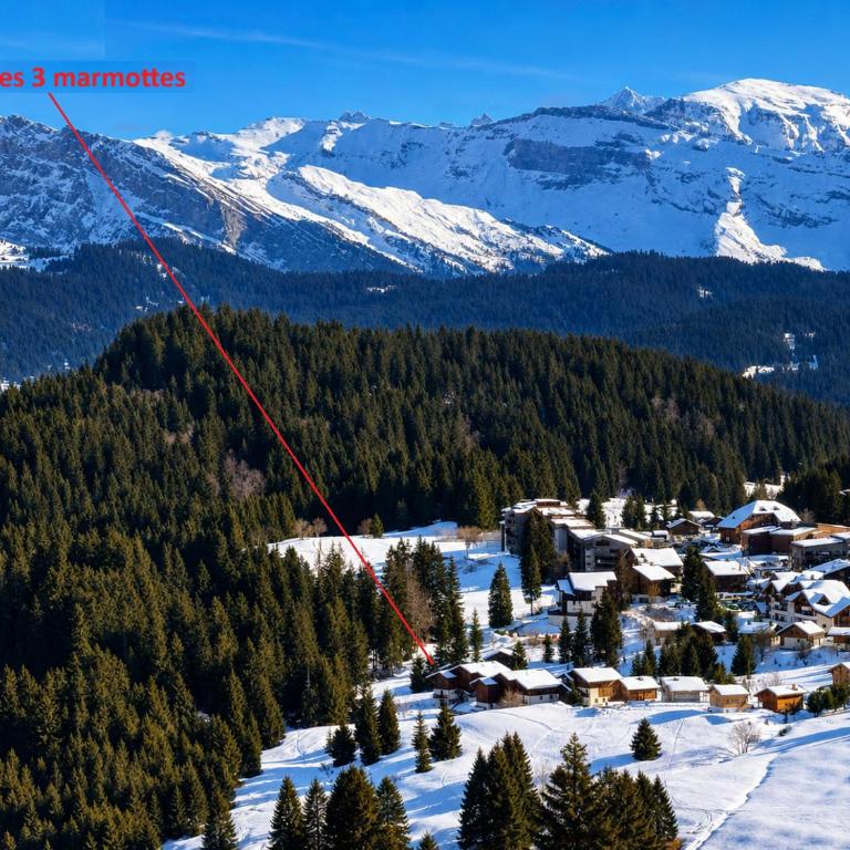 Les 3 Marmottes - Praz de Lys - Appartement 3 Chambres avec Vue sur la Montagne - 2