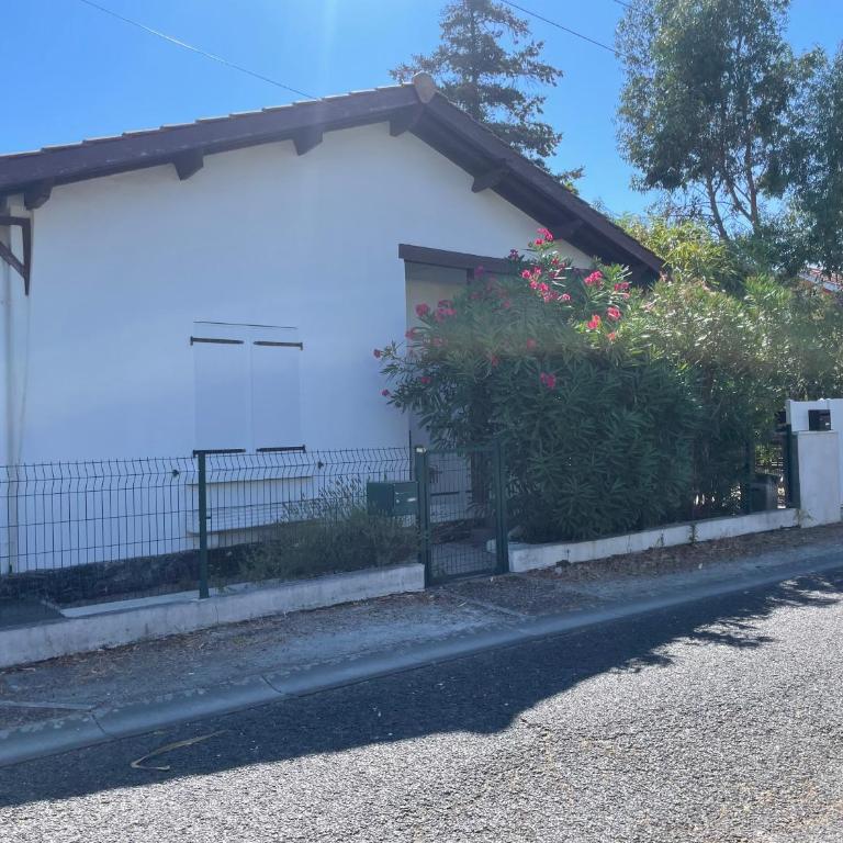 Maison Gujan la Hume - Maison 2 Chambres - 1