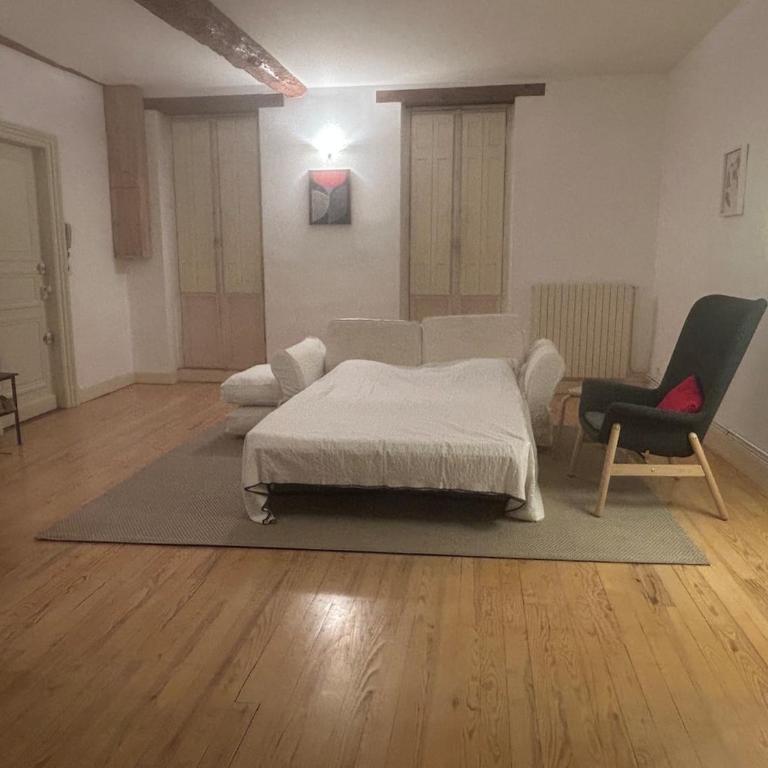 143m2 Hyper Centre Toulouse 9 Personnes, 3 Chambres 2 Salles de bains - Appartement - 19
