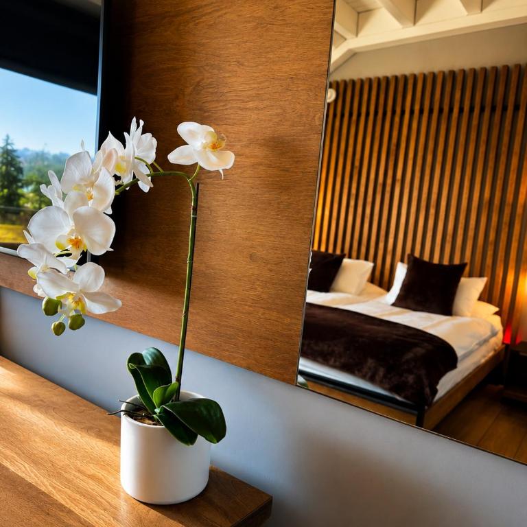 Alaïa Lodge - Chambre Deluxe Double ou Lits Jumeaux - 5