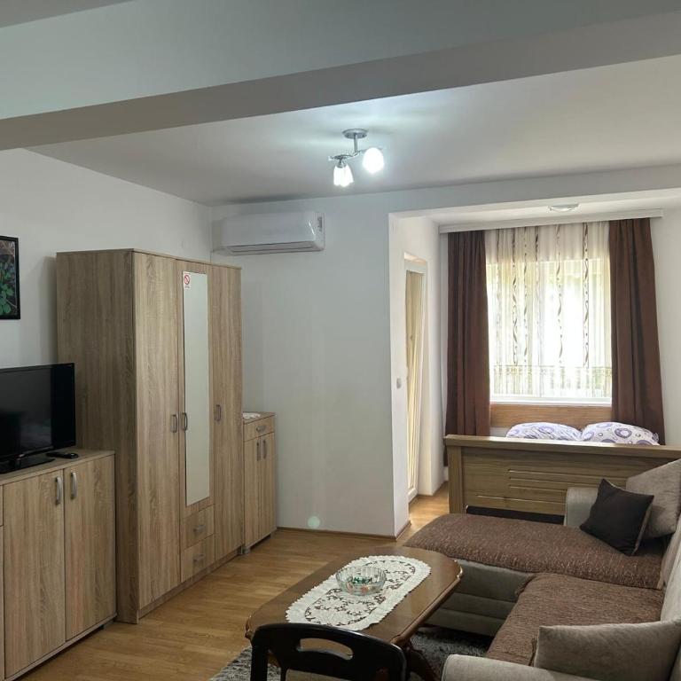 Renome apartmani - Studio sa Terasom - 1