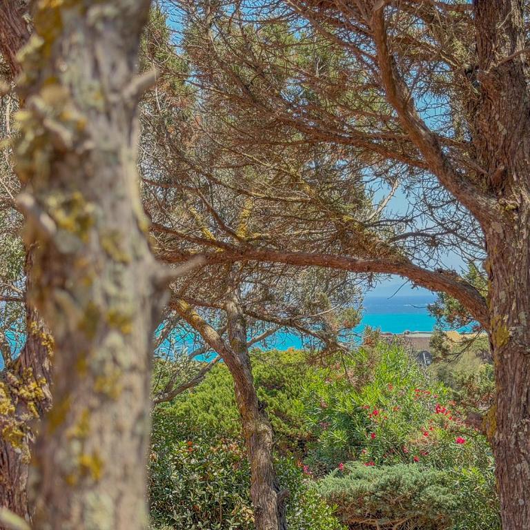 Exclusive Villa Overlooking La Pelosa Beach by Host Hero - Villa - 69