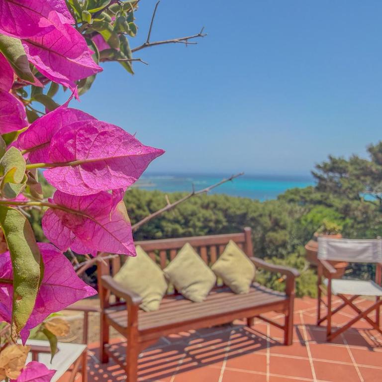 Exclusive Villa Overlooking La Pelosa Beach by Host Hero - Villa - 37