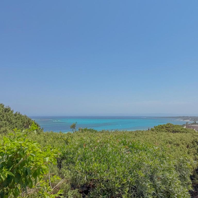 Exclusive Villa Overlooking La Pelosa Beach by Host Hero - Villa - 71