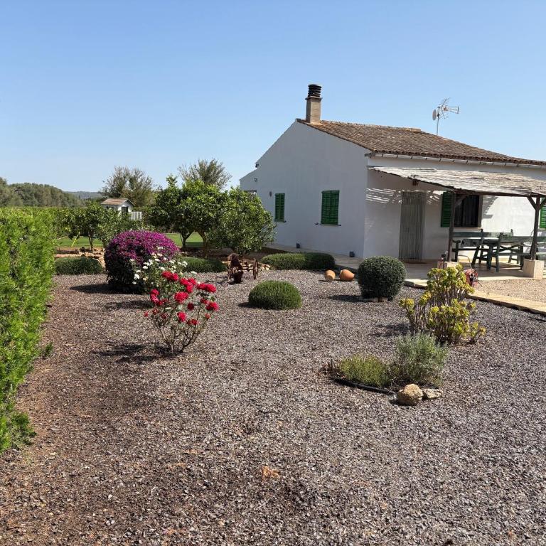 Sa Vinya d'Es Trenc - Casa de 3 dormitorios - 25