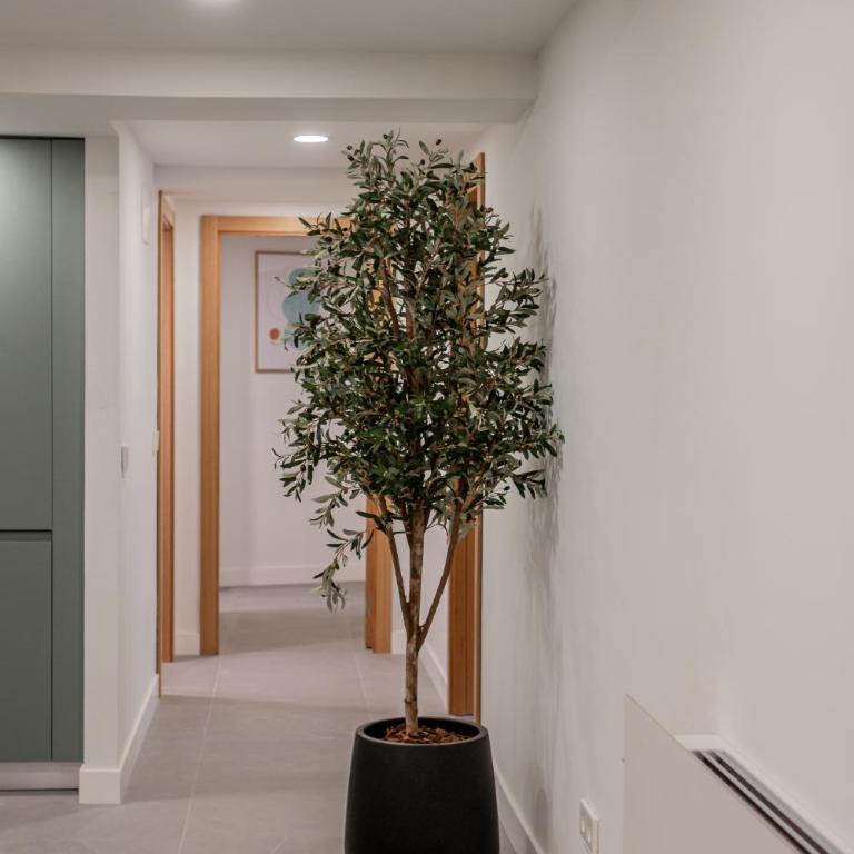Welcomer Apartments La Latina - Appartement 2 Chambres - 1