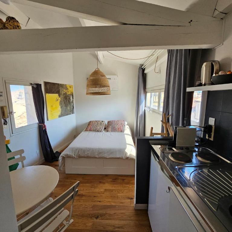 Petit nid au coeur de isle sur la sorgue - Appartement 1 Chambre - 1