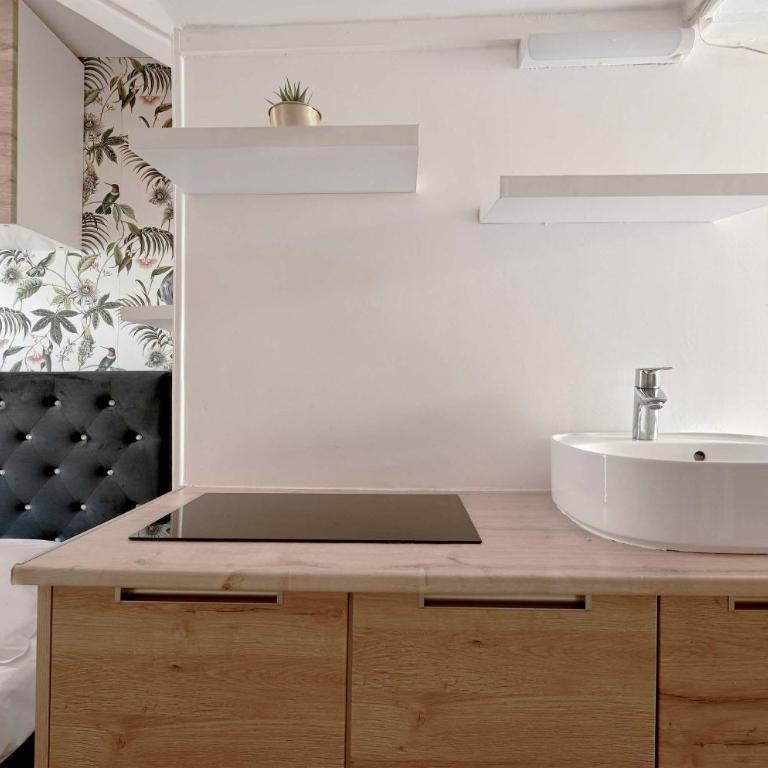 Petit studio Parisien - Quartier arais - Appartement - 5