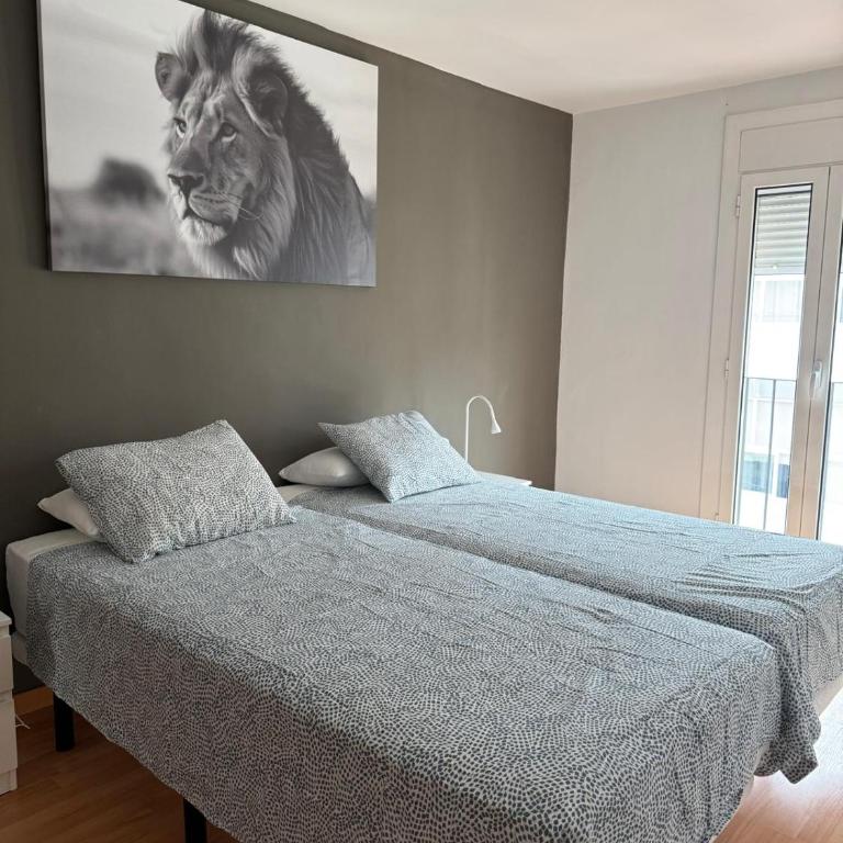URBAN RAMBLA Apartments - Apartamento de 2 dormitorios con terraza - 7
