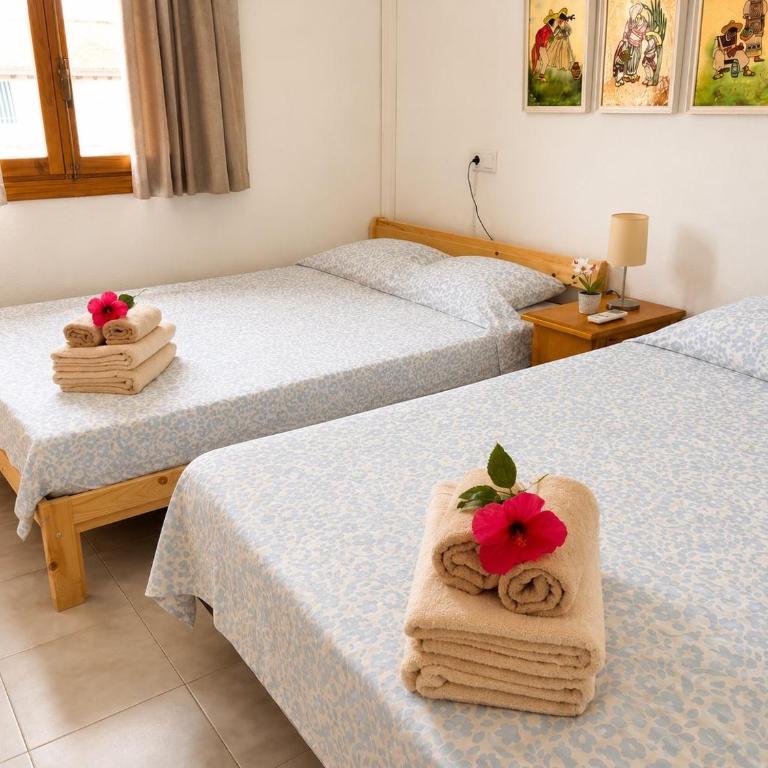 Oasis of Sunshine - Two-Bedroom Family Apartment - 29