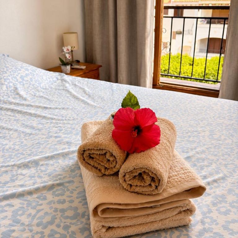 Oasis of Sunshine - Two-Bedroom Family Apartment - 30