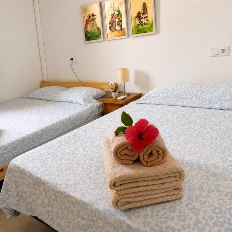 Oasis of Sunshine - Two-Bedroom Family Apartment - 33