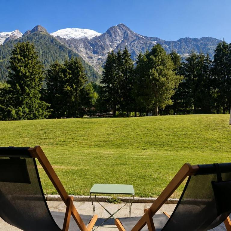 Beautiful Apartment with views of Mont Blanc - Appartement 2 Chambres - 1