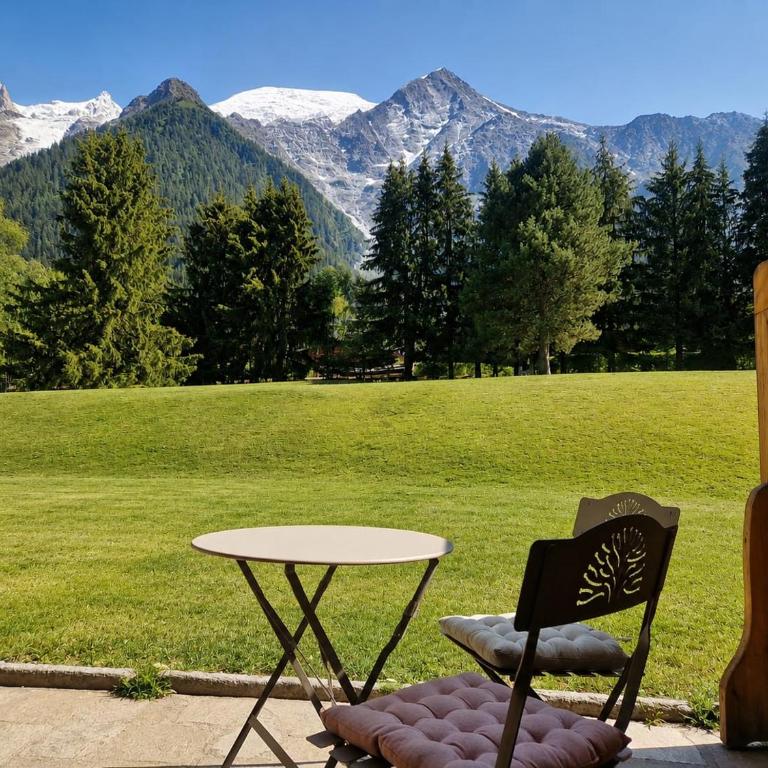 Beautiful Apartment with views of Mont Blanc - Appartement 2 Chambres - 2