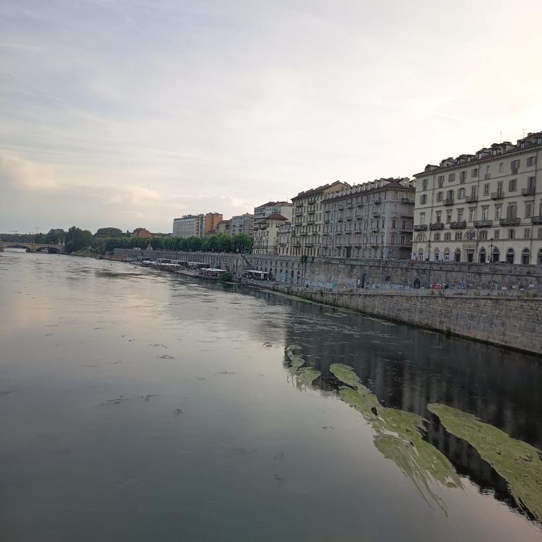 Il nido tra i libri - One-Bedroom Apartment - Non-Smoking - 3