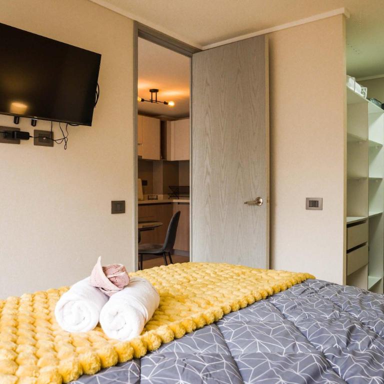 1BR1BA Downtown Santiago Cozy Urban Retreat for 3 - Apartamento - 18