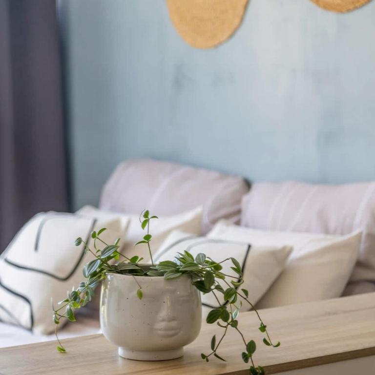 Cozy Studio Near Beach&Lakes - Studio - 17