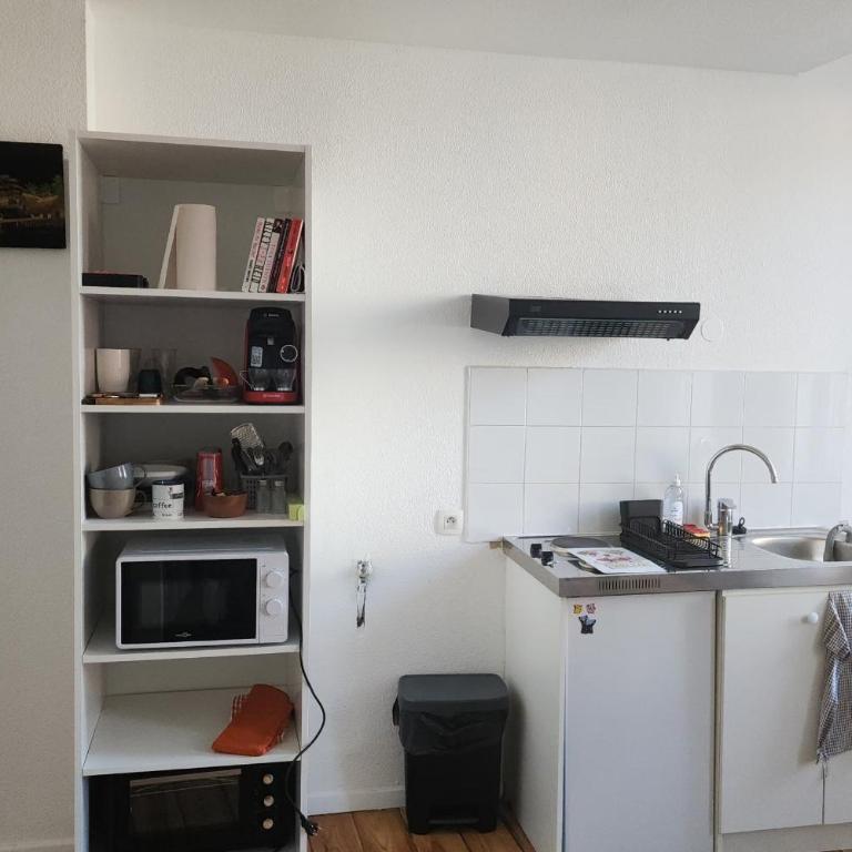 Bright apartment ideally located Toulouse - Appartement - 4