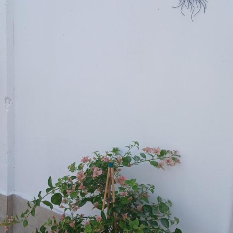 Attico Scogliera d'Armisi - One-Bedroom Apartment - 24