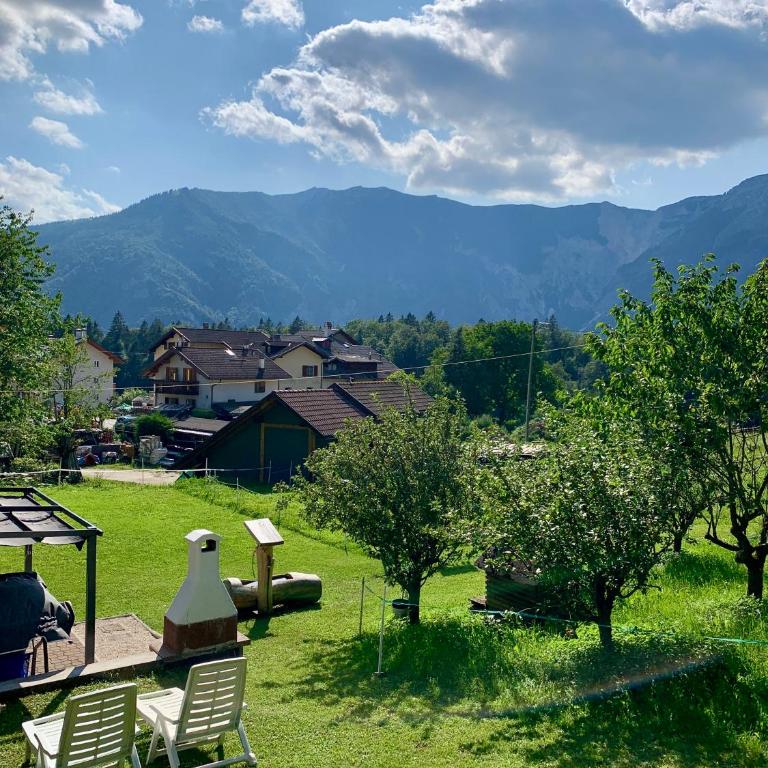 Alpin Haus - Monolocale Standard - 12