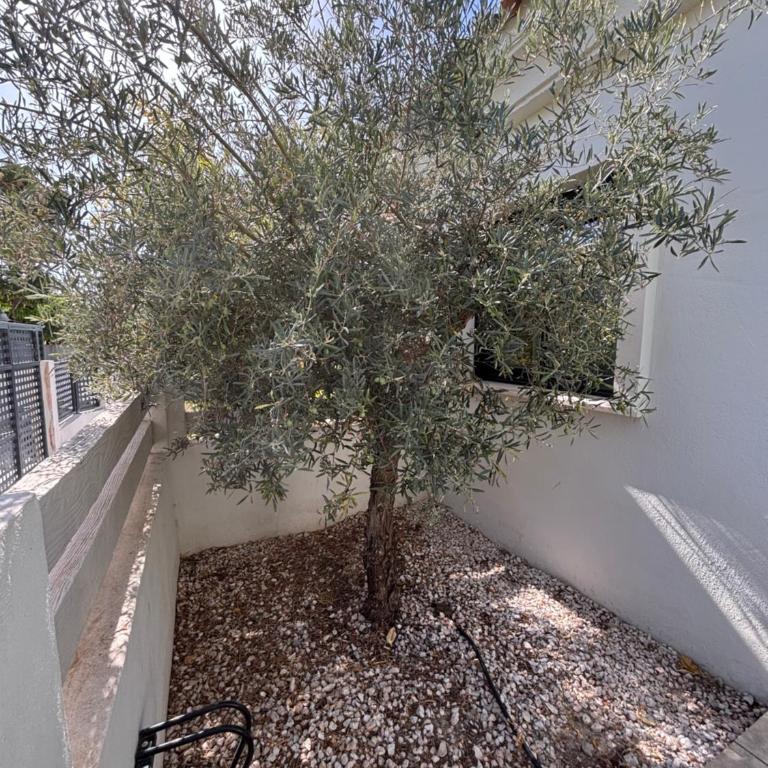 3 Bedroom Townhouse with Private Pool - Casa de 3 dormitorios - 16
