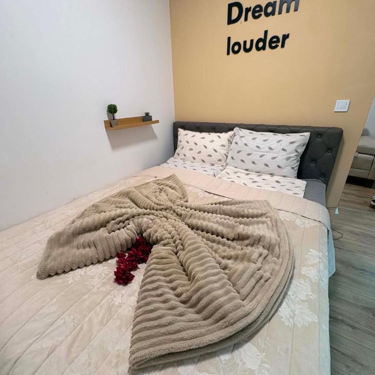 Soni Trg - Apartman sa 1 Spavaćom Sobom - 3
