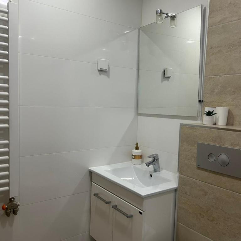 Rakic Family Apartment Zlatibor - Apartment mit 1 Schlafzimmer - 10