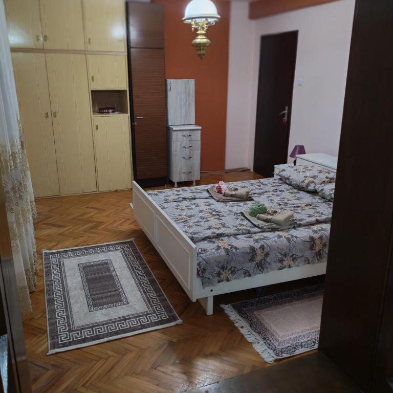 Apartmani Aleksići-AS Sokobanja U CENTRU - Apartman sa 1 Spavaćom Sobom - 3