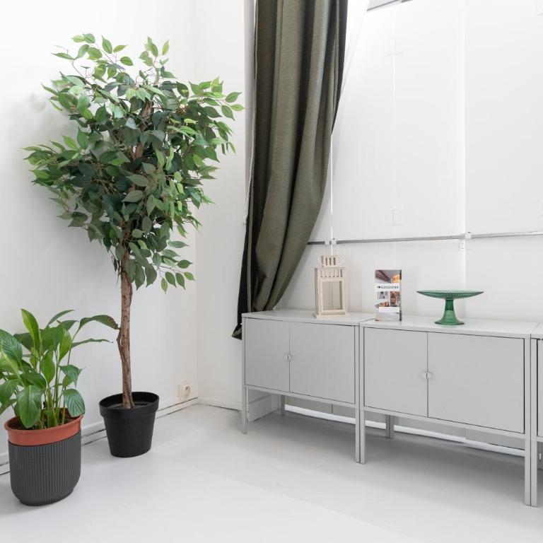 Urban White - loft lumineux avec terrasse - Studio - 16