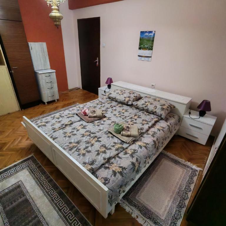 Apartmani Aleksići-AS Sokobanja U CENTRU - Apartman sa 1 Spavaćom Sobom - 4