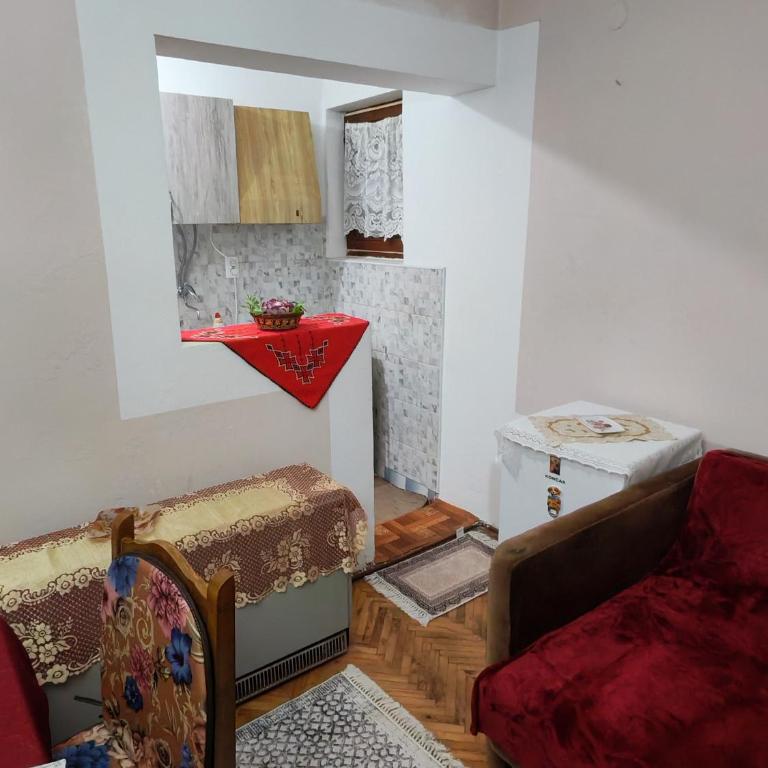Apartmani Aleksići-AS Sokobanja U CENTRU - Apartman sa 1 Spavaćom Sobom - 11