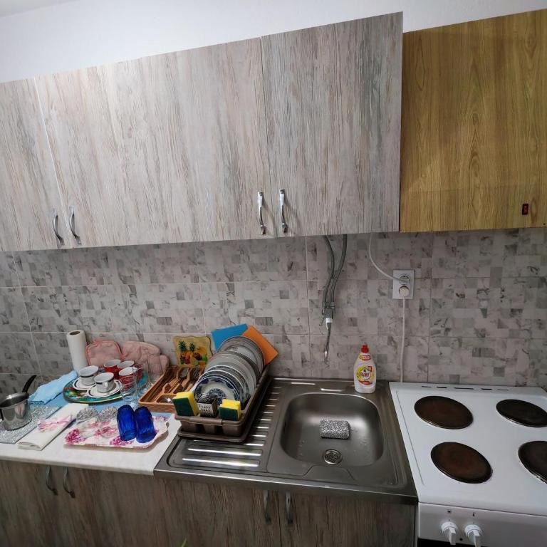 Apartmani Aleksići-AS Sokobanja U CENTRU - Apartman sa 1 Spavaćom Sobom - 13