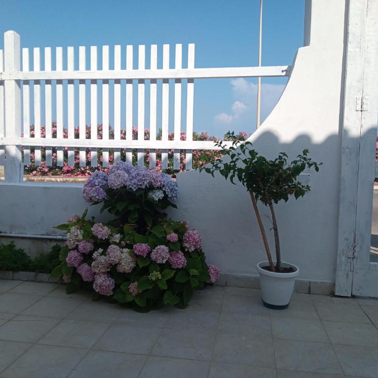 Le Ortensie - Casa con 3 Camere da Letto - 7