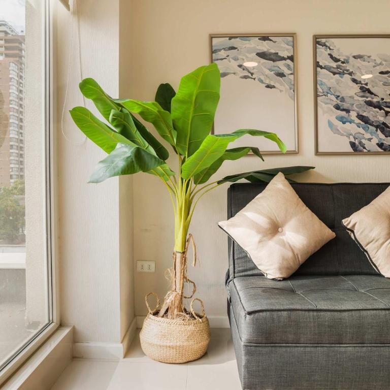 Modern Studio in Santiago Your Urban Gateway - Apartment - 20
