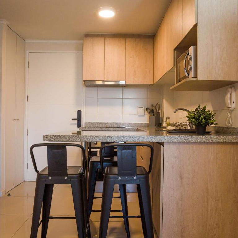 Elegant 1BR Urban Retreat in Santiago Modern Stay - Apartment - 18