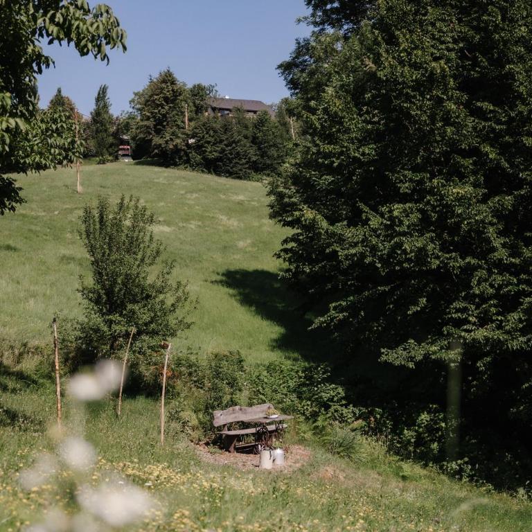 Exklusives Naturjuwel - Kühbartl Simmerl - Casa Vacanze - 48