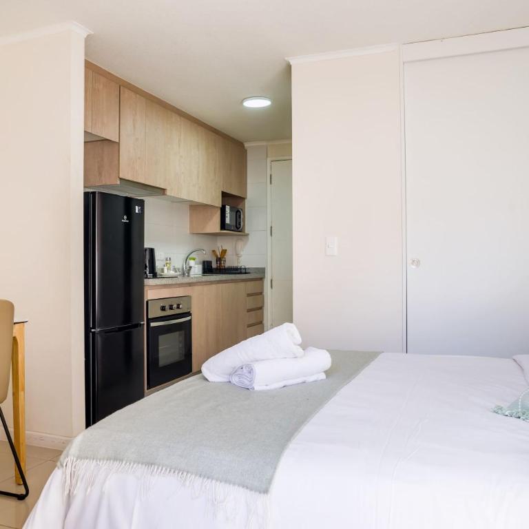 Cozy Santiago Retreat Studio with Balcony & Wi-Fi - Apartamento - 8