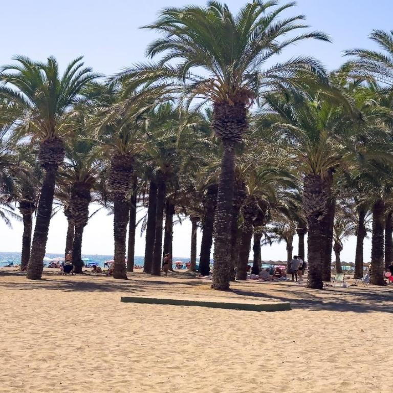 La Colina Beach & Pool - Apartamento de 1 dormitorio - 32