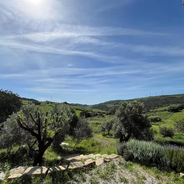 Andalusian country house among olive trees - Casa de 2 dormitorios - 32