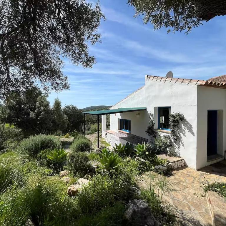 Andalusian country house among olive trees - Casa de 2 dormitorios - 33
