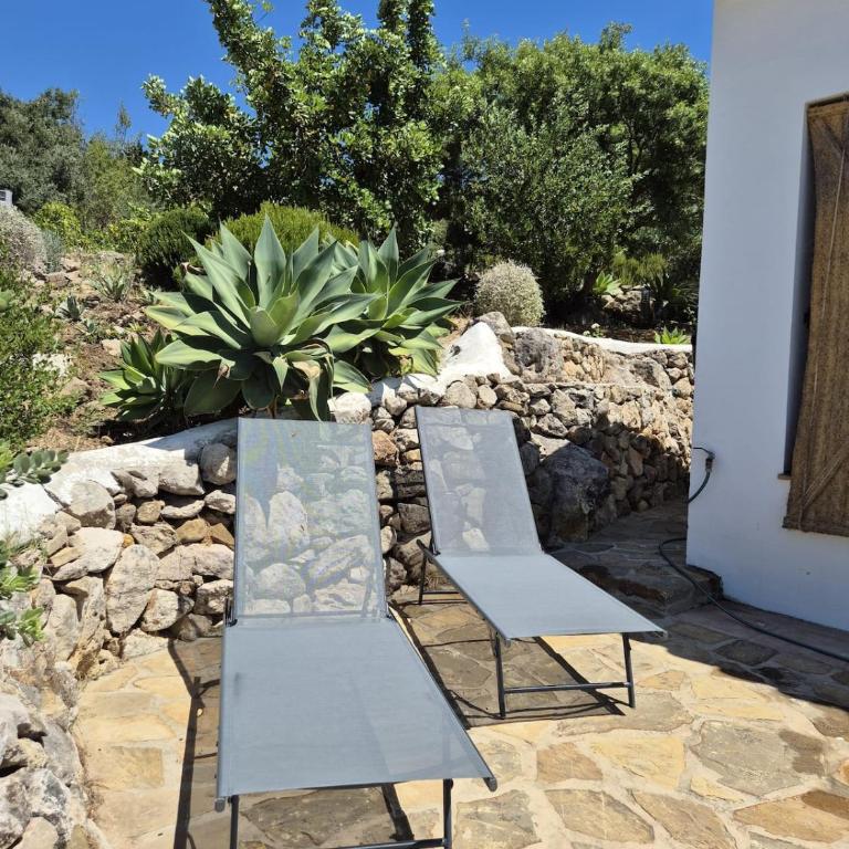 Andalusian country house among olive trees - Casa de 2 dormitorios - 71