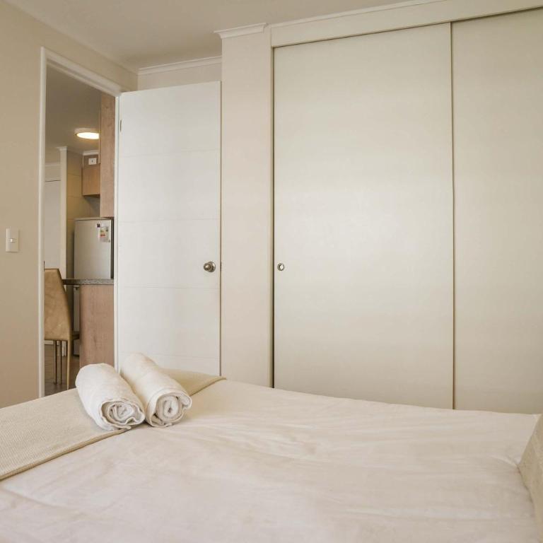Metro-Accessible Apartment with Terrace Santiago - Apartment - 9