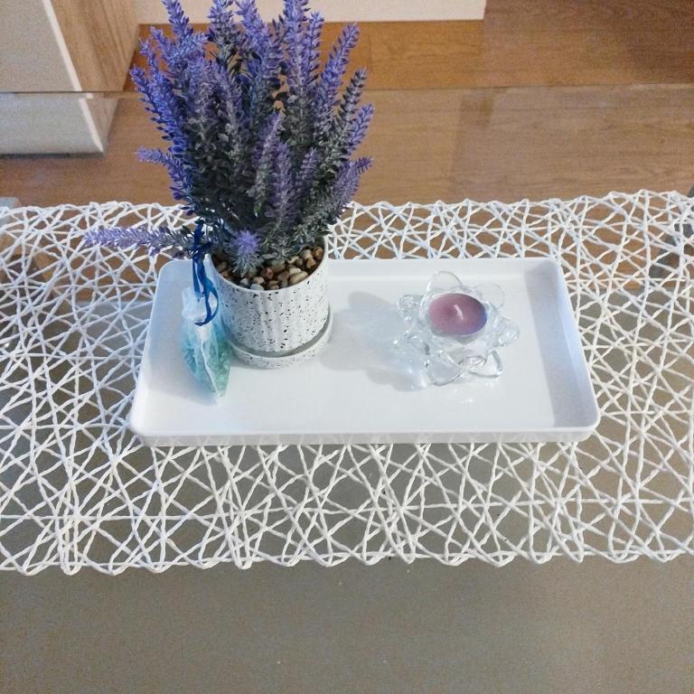 Apartman Vracar - Apartment mit 1 Schlafzimmer - 4