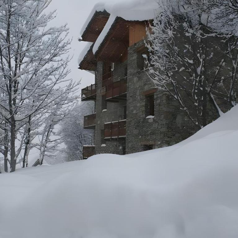 Chalet le Névé - Le Tetra-Lyre - Appartement Supérieur avec Balcon - 10