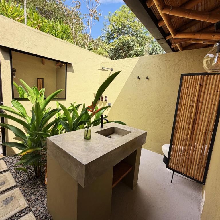 Selva Serena - Standard Studio - 4
