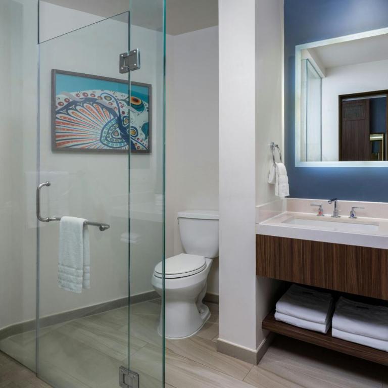 The Westin Los Cabos Resort Villas - Estudio con cama extragrande, balcón y vistas al mar - 2